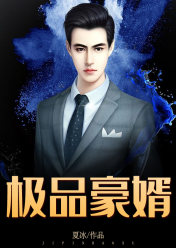 豪婿小說最新更新，現代都市中的英雄崛起