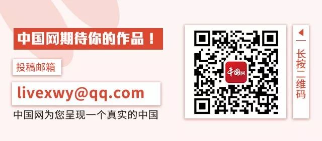 一肖一碼免費(fèi),公開，關(guān)于一肖一碼免費(fèi)與公開的文章