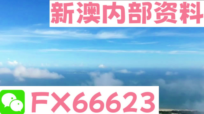 新澳2024內部爆料|精選解釋解析落實
