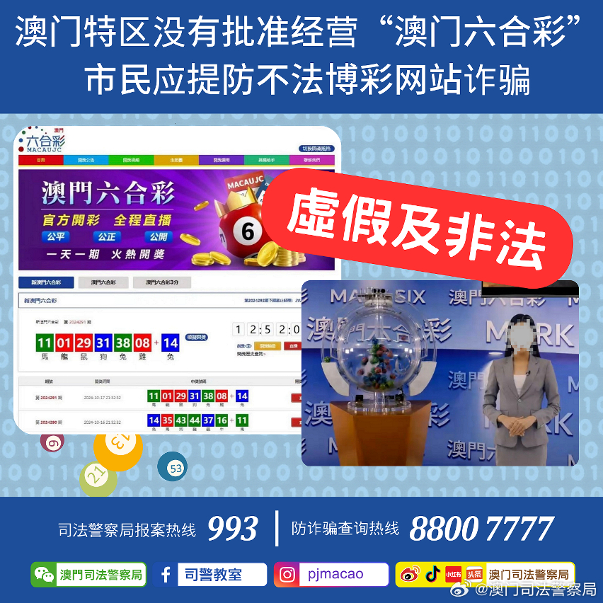 2024澳門免費資料精準|精選解釋解析落實