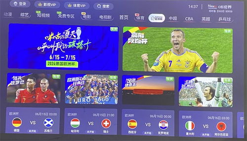 2024年3最新的直播平臺