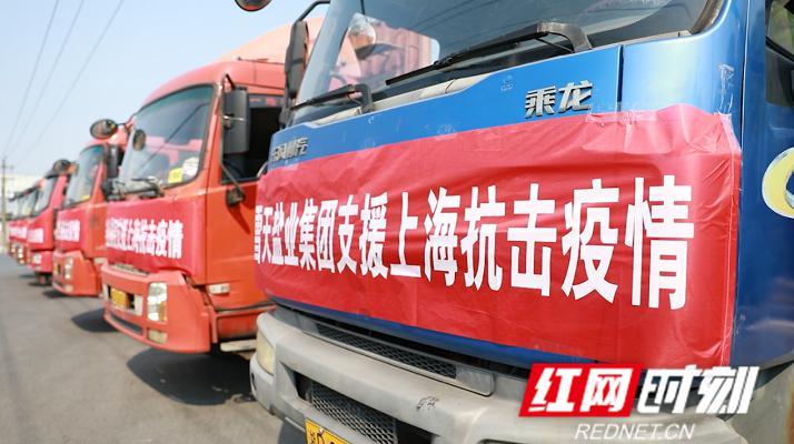 吉林鹽業(yè)改革最新消息